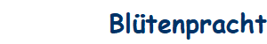 Bltenpracht