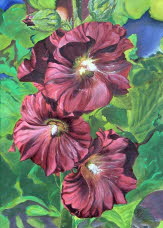 Stockrosen 003 neu